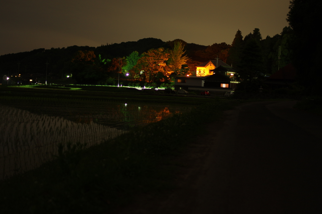 夜の伊藤公記念公園