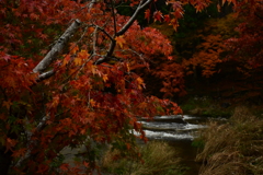 夫婦で紅葉狩り