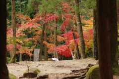 紅葉狩り２０２１