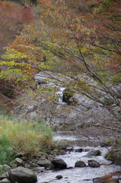 親子で紅葉狩り