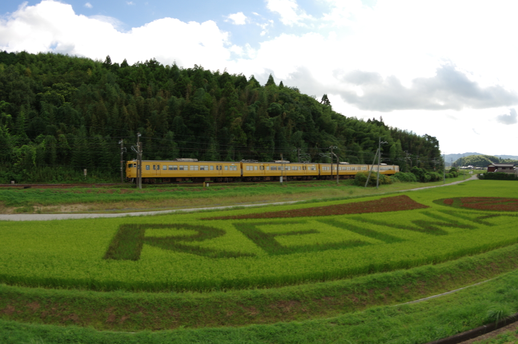 田んぼアート2019　in田布施 andイエロー電車