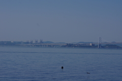 瀬戸大橋
