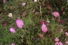 仕事帰りに 仕事帰りに