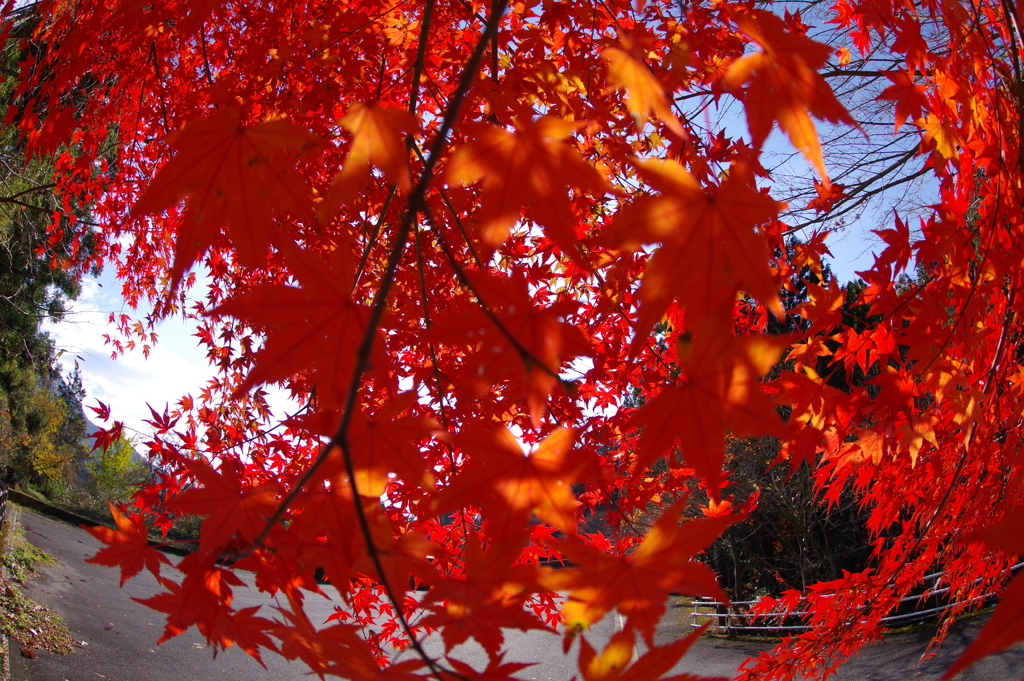 寂地峡２０１７－２