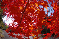 寂地峡２０１７－２