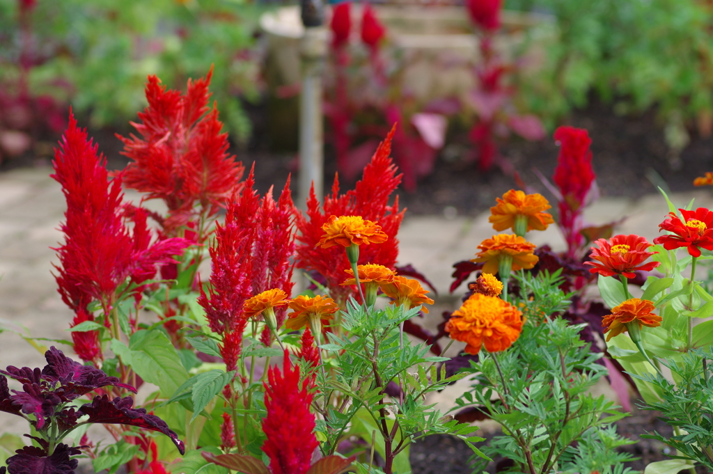 やまぐちフラワーランド