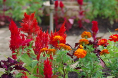 やまぐちフラワーランド