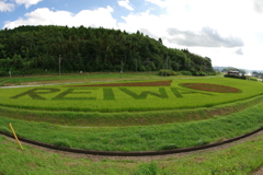 田んぼアート2019　in田布施