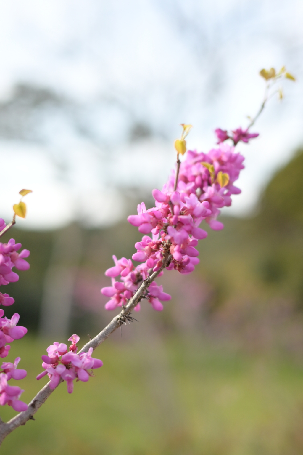 子供の撮影の合間に