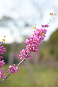 子供の撮影の合間に