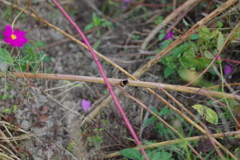 仕事帰りに 仕事帰りに