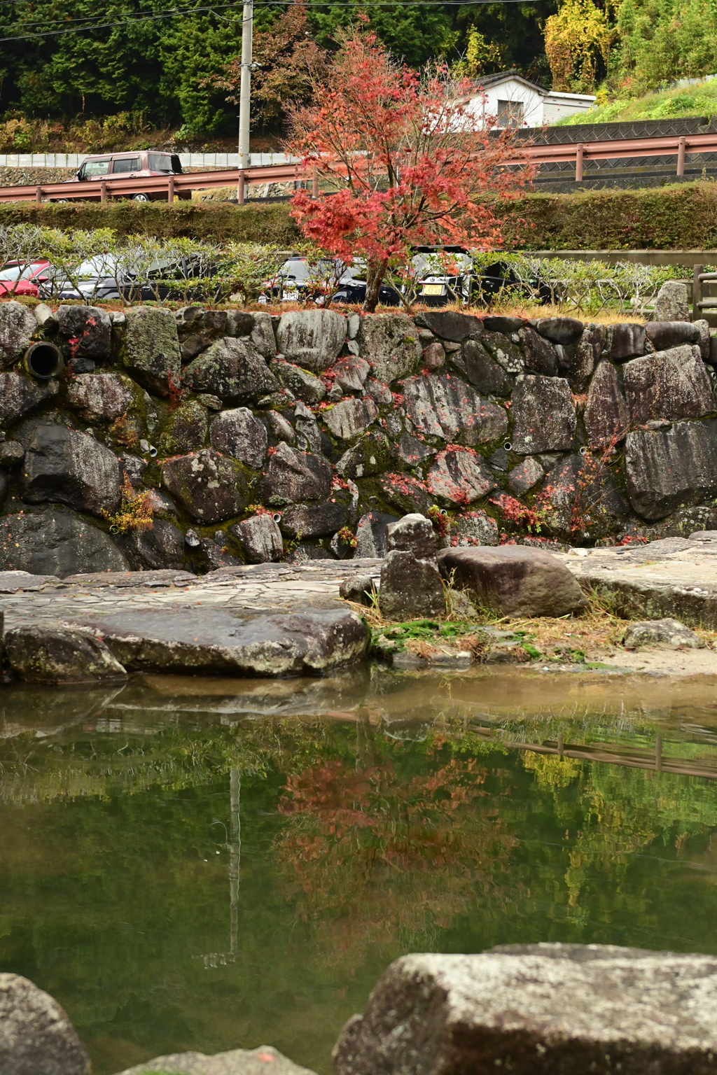 夫婦で紅葉狩り