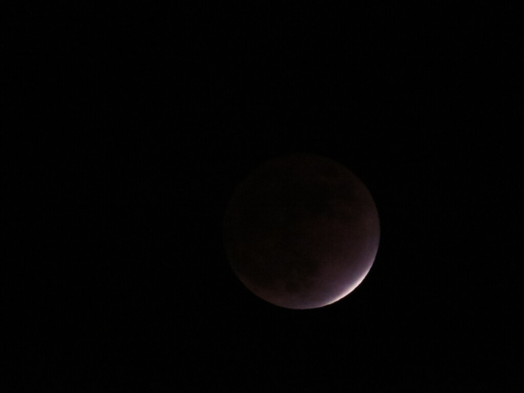 2021年11月19日部分月食