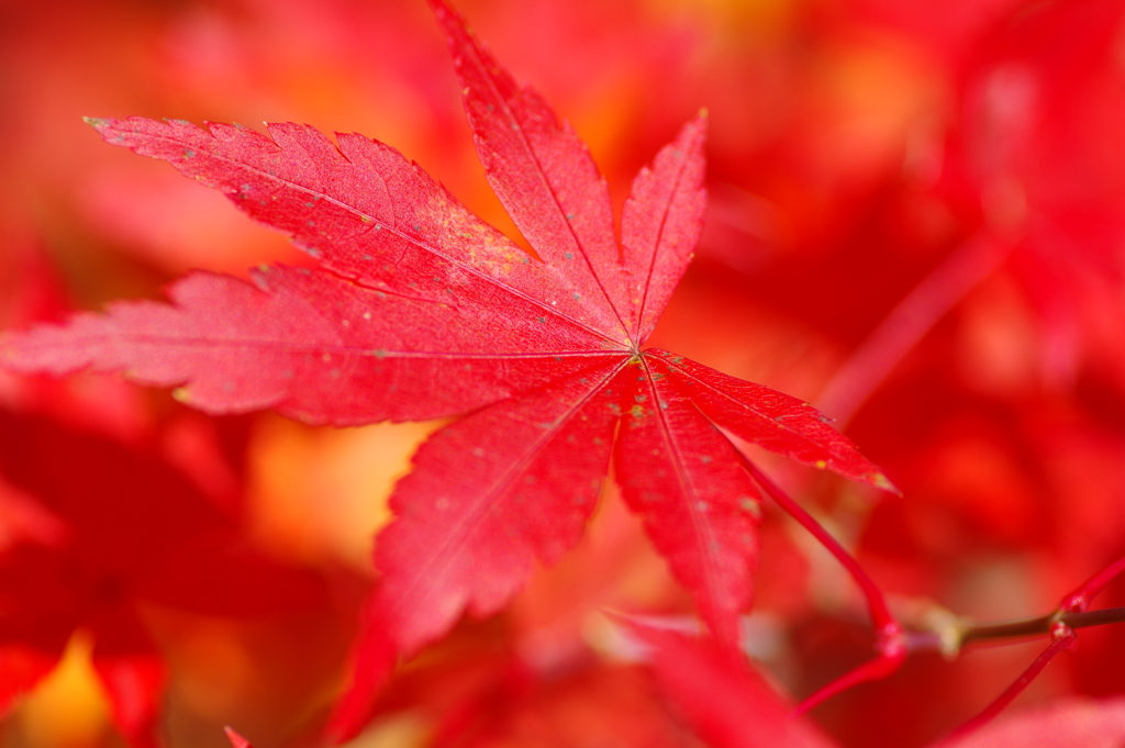 寂地峡２０１７－２