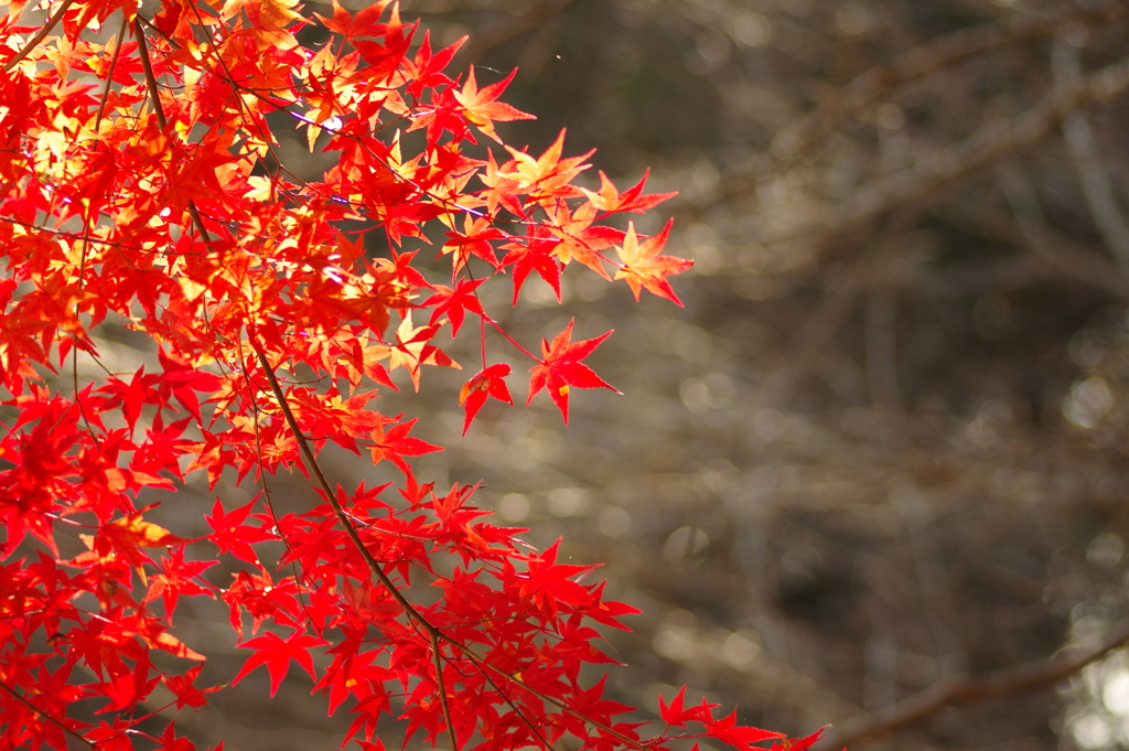 寂地峡２０１７－２