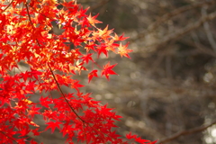 寂地峡２０１７－２