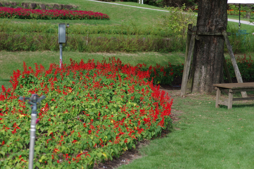 やまぐちフラワーランド