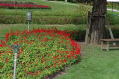 やまぐちフラワーランド