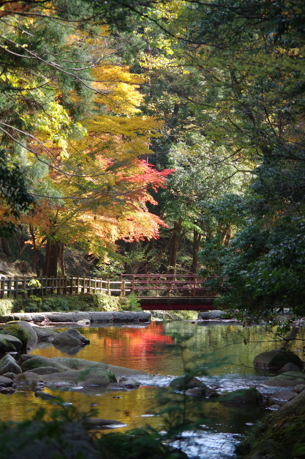 紅葉狩り