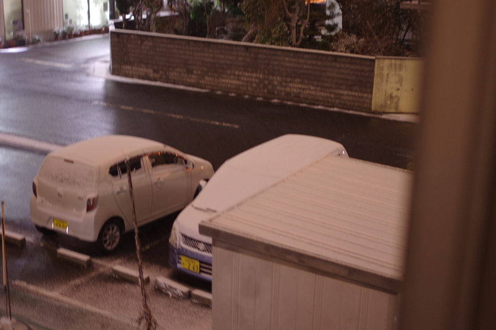 大寒波の雪景色