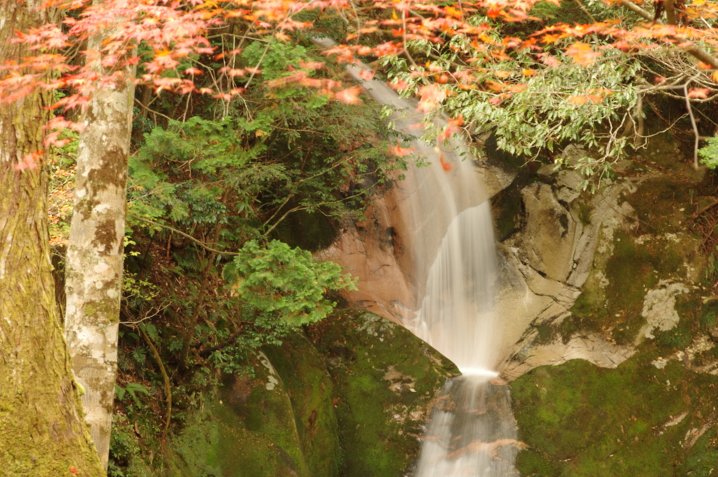 紅葉狩り２０２１