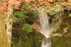 紅葉狩り２０２１