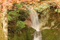 紅葉狩り２０２１