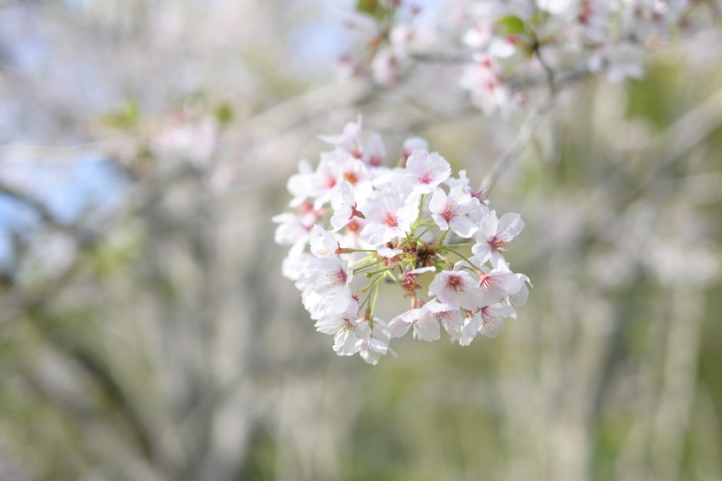 子供の撮影の合間に