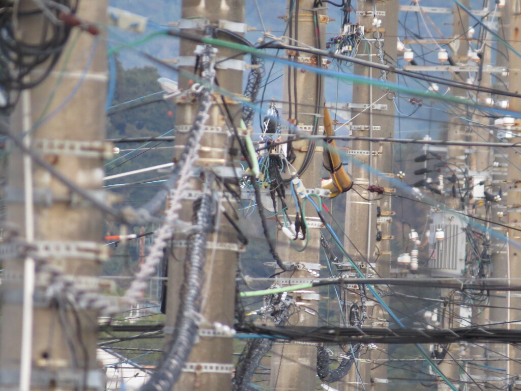 圧縮構図の電線