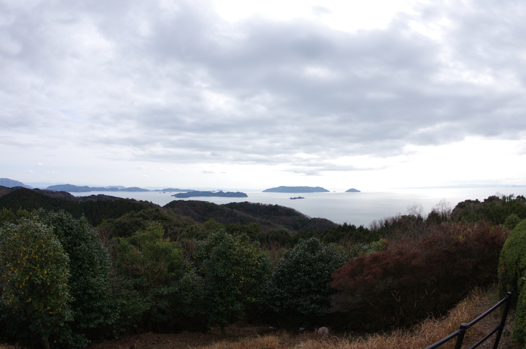 展望台から魚眼で望む