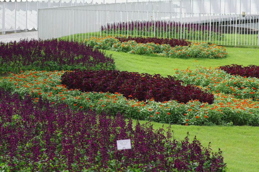 やまぐちフラワーランド