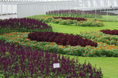 やまぐちフラワーランド