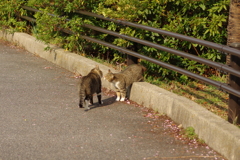 待ち合わせ