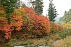 夫婦で紅葉狩り