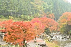 夫婦で紅葉狩り