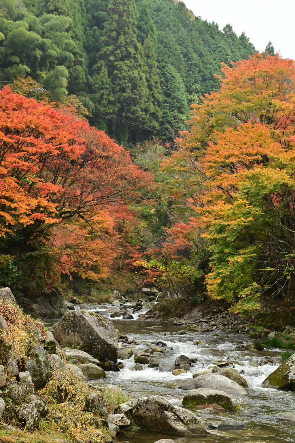 夫婦で紅葉狩り
