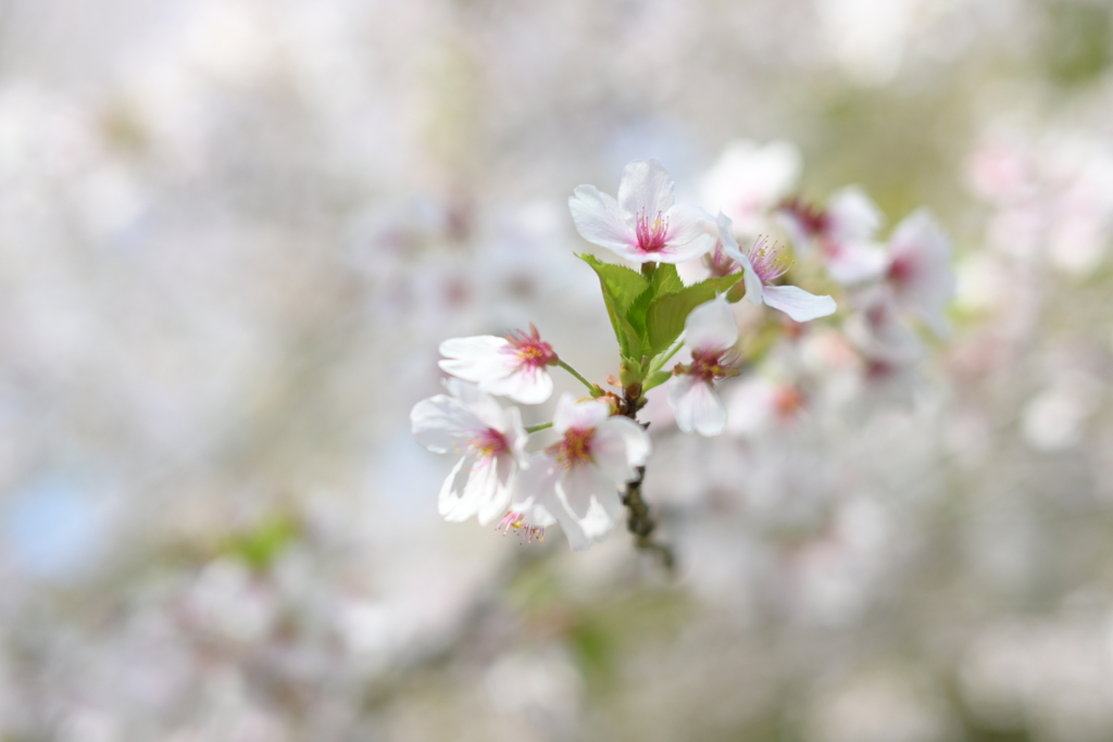 子供の撮影の合間に