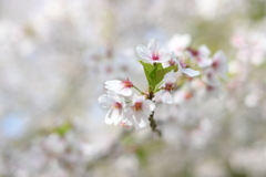 子供の撮影の合間に