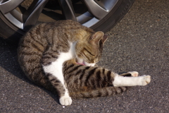 足をピンとね