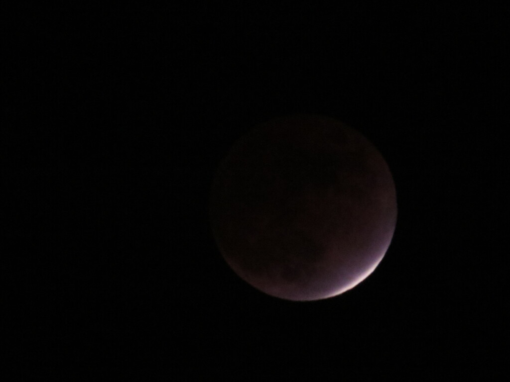 2021年11月19日部分月食