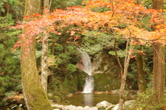 紅葉狩り２０２１