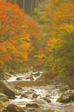 夫婦で紅葉狩り