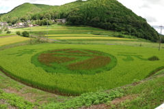 田んぼアート2019　in田布施