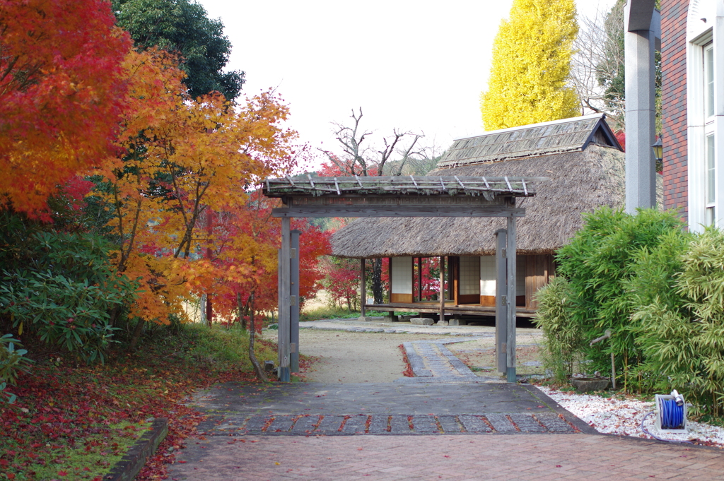 伊藤公記念公園の紅葉