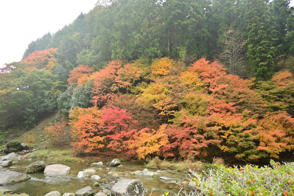 夫婦で紅葉狩り