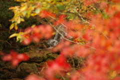 紅葉狩り２０２１