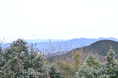 展望台から