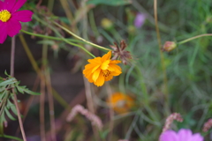 仕事帰りに 仕事帰りに
