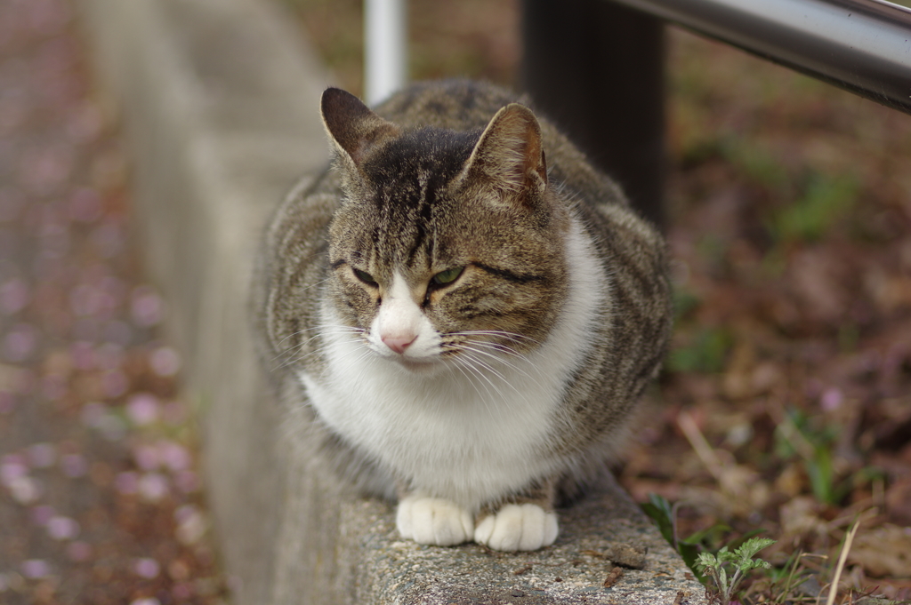 待ち構え