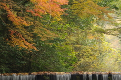 あそこから落ちたのかな